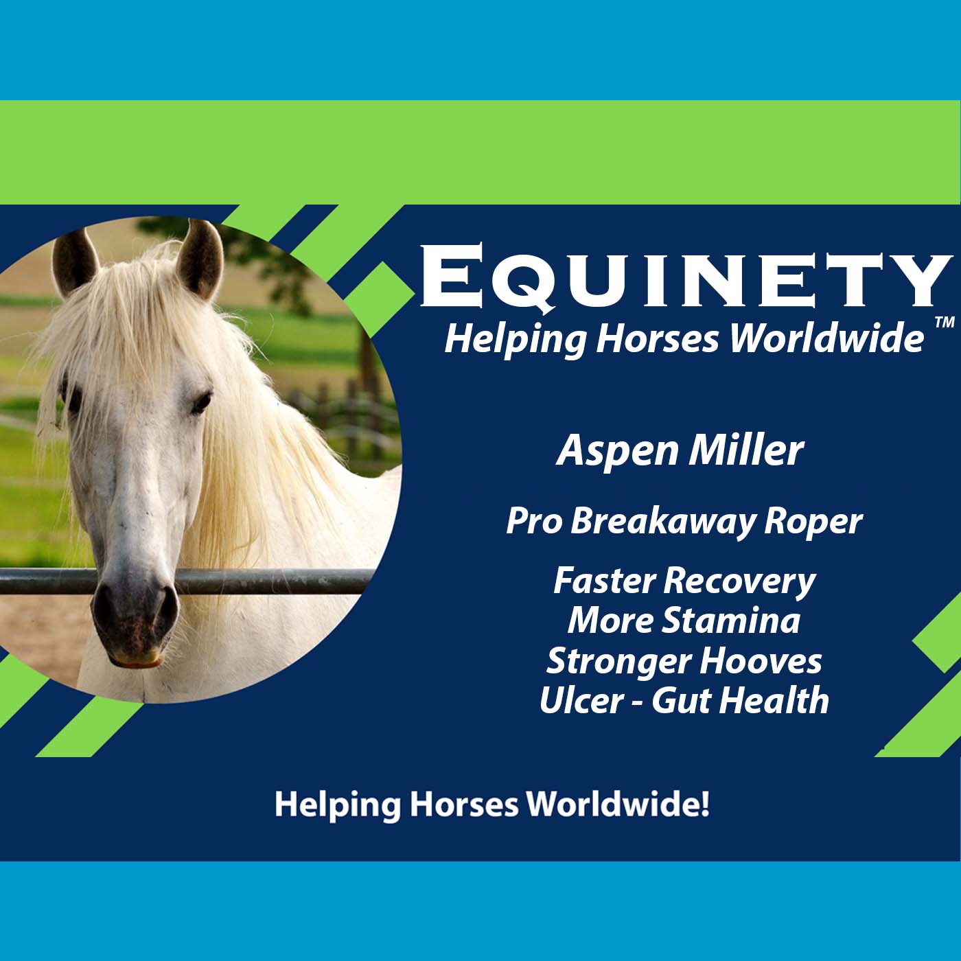 Aspen Miller Pro Breakaway Roping Ulcers Soft Feet More Stamina